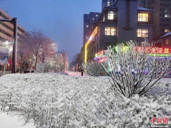 图为雪景装扮小城夜色。 张宏 摄