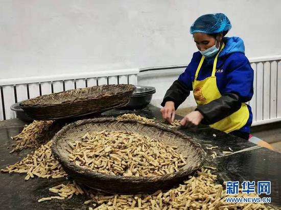 甘肃岷县的农户在加工中药材。新华社记者 张新新 摄