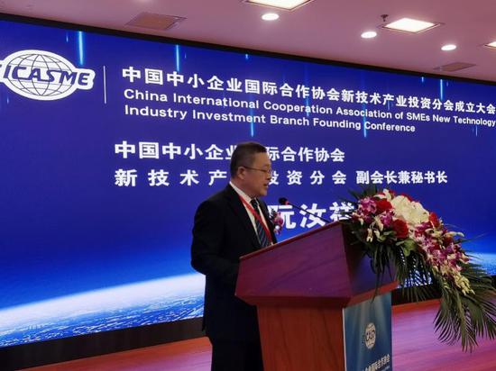 新技术产业投资分会副会长兼秘书长阮汝祥报告分会2021年度工作计划安排