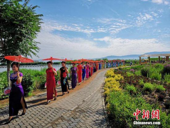 旗袍爱好者在天蓝、水清、草绿的湿地公园展示旗袍之美。吴学珍 摄