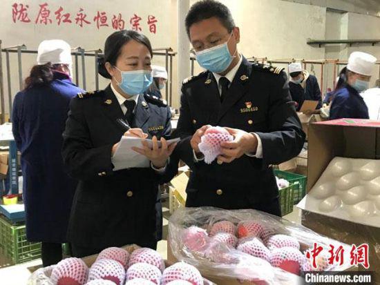 3月24日,甘肃平凉市静宁县一果品公司申报的18吨红富士苹果顺利出口墨西哥。图为兰州海关工作人员对出口苹果进行检疫。兰州海关供图