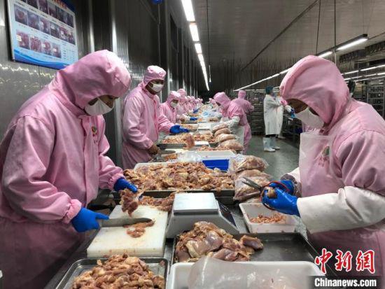 正在生产线上忙碌的工作人员。