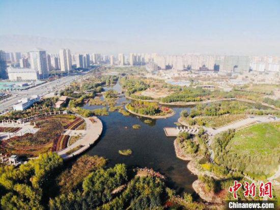 10月中下旬,中新网记者走访位于甘肃省武威市凉州区的海藏湖湿地公园,了解当地生态治理工程。 高莹 摄