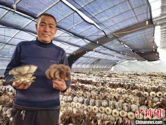 图为村民展示丰收的蘑菇。 史静静 摄