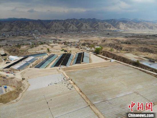 4月下旬,地处西北高原二阴山区的甘肃榆中县金崖镇完成高原夏菜的种植工作。 杨艳敏 摄