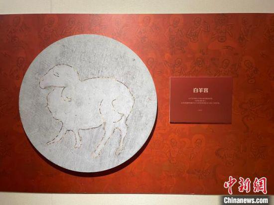 图为展览现场。 江杨烨 摄