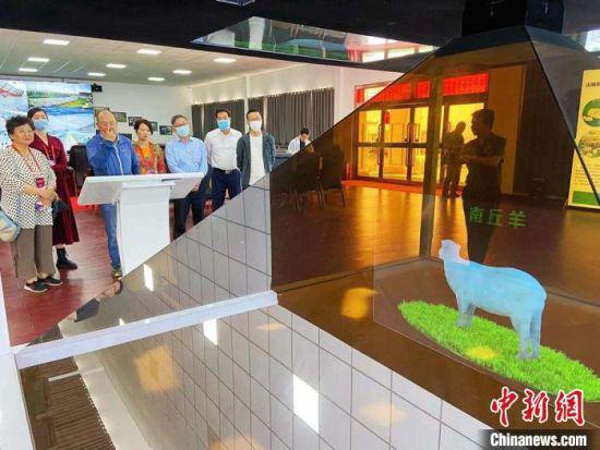 华媒代表们了解当地羊产业发展情况。 高展 摄