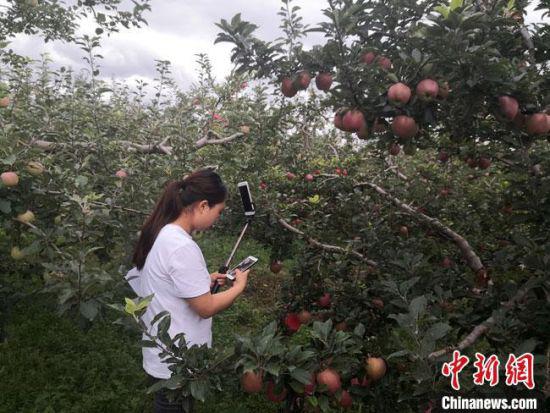 图为甘肃境内无处不在的直播带货。(资料图) 冯志军 摄