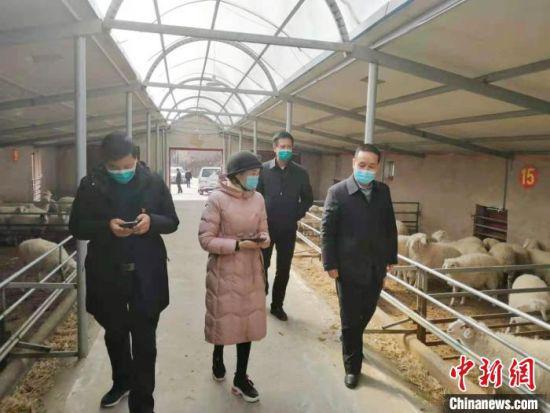 图为李艳(中)邀请养殖方面专家参观羊舍。(资料图) 受访者供图