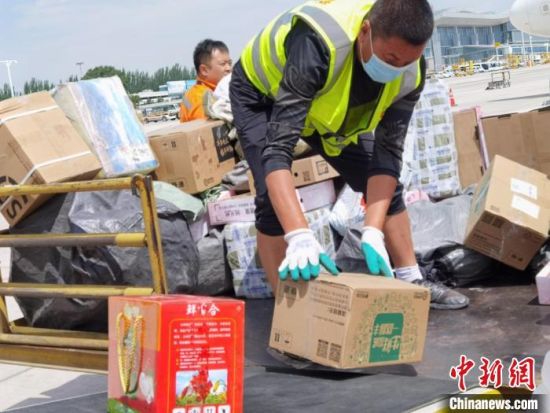 图为装卸工在工作。 杨娜 摄