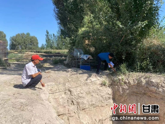 图为村贮坑民挖青。