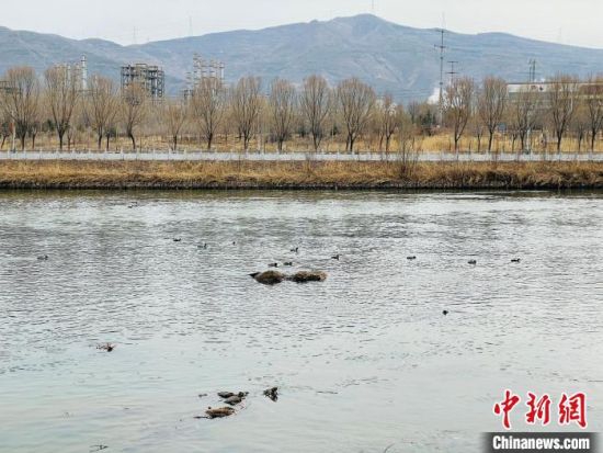 图为黄河支流的湟水河。(资料图) 孙睿 摄