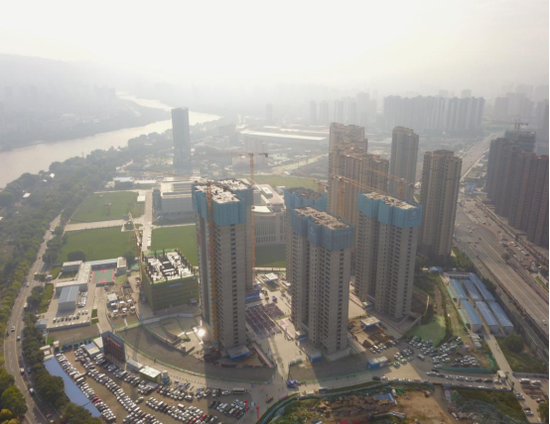 项目全景图