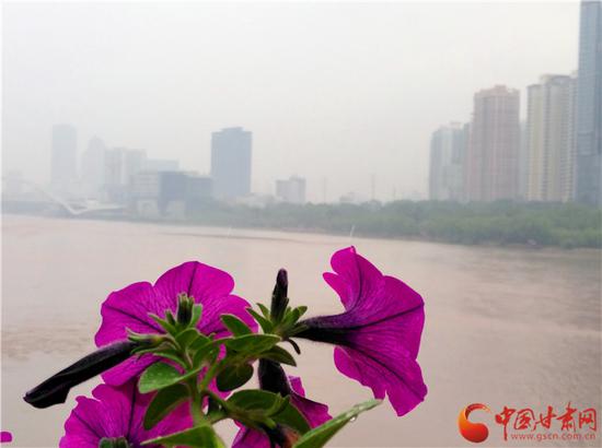 雨中的兰州多了一份烟雨朦胧,黄河更显宽阔平静,远处水车悠悠,还有一座座各具特色的桥梁都展示着兰州不一样的魅力和文化。
