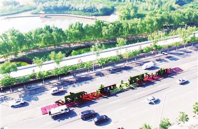 图三:马拉松赛道旁各种造型的绿色植物雕塑。