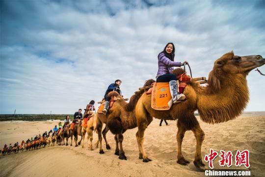 10月9日,游客骑骆驼在敦煌鸣沙山欣赏大漠风光,体验浓郁的丝路风情。 王斌银 摄