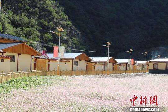 图为甘南州新建设的生态文明小康村。 钟欣 摄