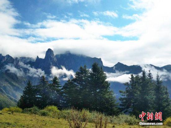 深秋时节,甘肃甘南藏族自治州迭部县山中呈现不同景致。阿加 摄