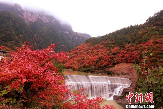 图为潺潺流水和山上的红叶。 张怀林 摄