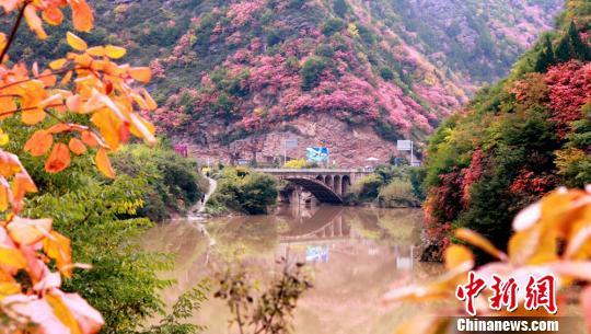 图为灵官峡秋景。 张怀林 摄