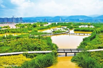 银滩湿地公园