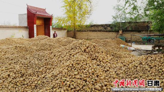 通讯员 侯奇志 摄