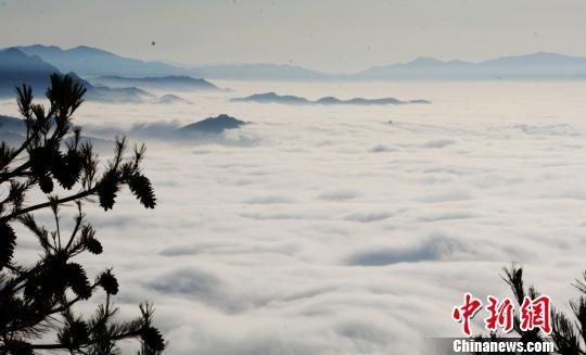 图为壮观的云海。 雷金锋 摄