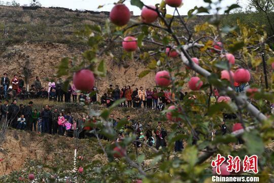 清水县山区农民围观网络直播。 杨艳敏 摄