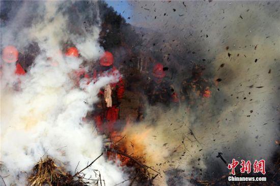进入冬季,官兵在野外林区进行模拟实战灭火训练。图为11月7日,官兵清理烟点。陈晓波 摄