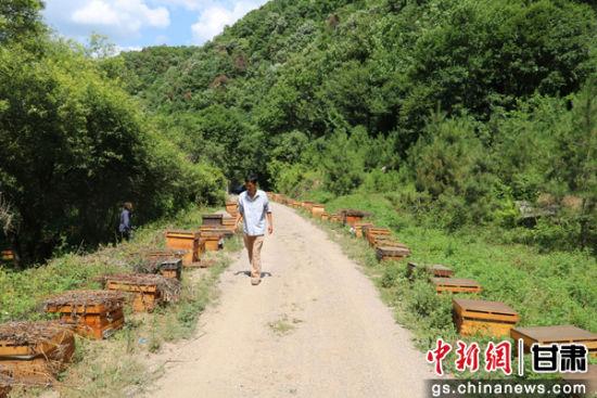 资料图。图为甘肃天水市大山深处养蜂基地。