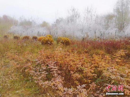 小雪节气,兰州低温在零摄氏度以下。彭伟 摄