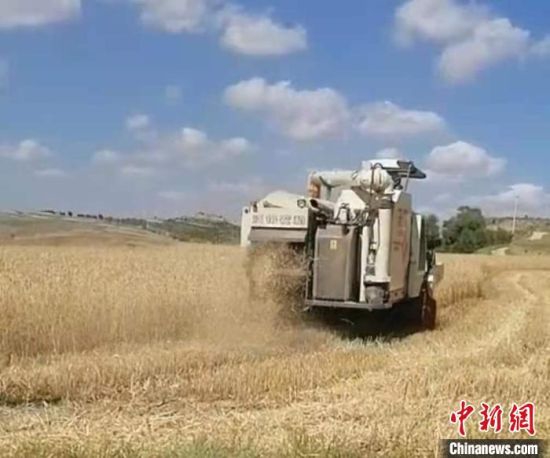 图为强彩霞管理农民专业合作社机械化耕作。(资料图) 强彩霞 摄