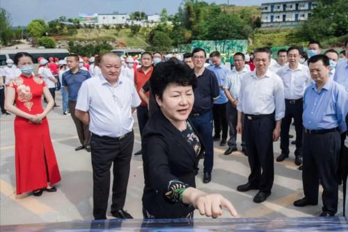 (包书记对项目提出具体建设规划要求)