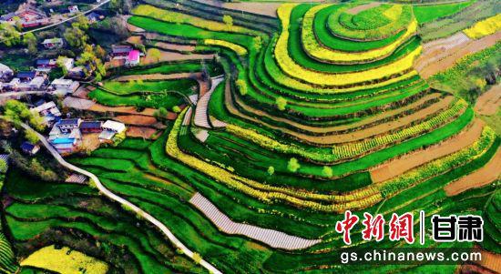 甘肃陇南市是“绿色宝库”,冬无严寒、夏无酷暑,非常适宜养生养老。图为陇南境内梯田。(资料图)张平良
