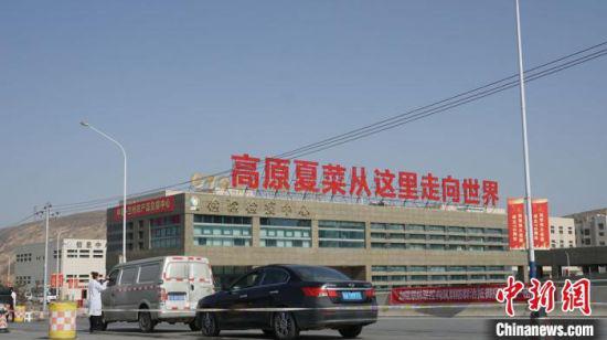 图为兰州国际高原夏菜副食品采购中心。 魏建军 摄