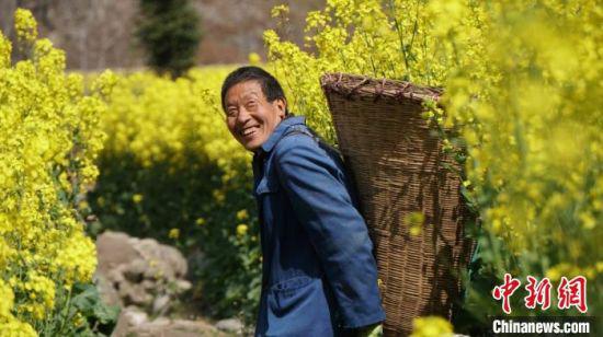 乡间农民背着背篓,走在田埂,穿梭于油菜花海。 魏建军 摄