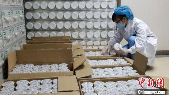 甘肃省中医院药学部中药房,药师清点驰援武汉的“甘肃方剂”中的中药颗粒。(资料图)甘肃省中医院供图
