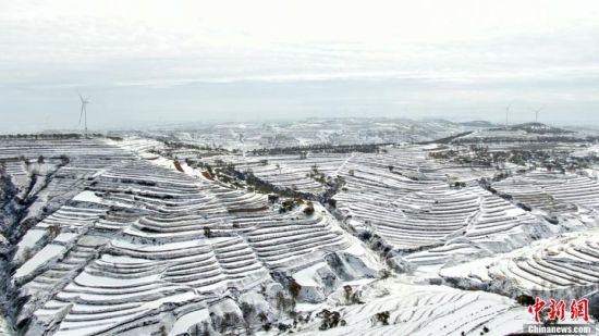 图为梯田雪景。 王金生 摄