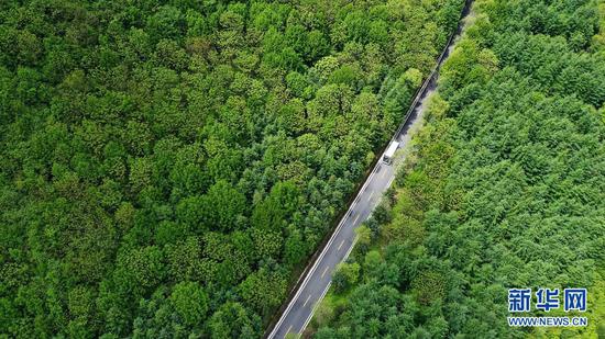 一辆旅游大巴行驶在陇南市宕昌县官鹅沟景区内的公路上(无人机照片,5月18日摄)。新华社记者 陈斌 摄