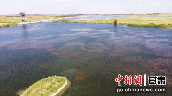 独特的自然地理环境造就了草湖湿地内沙漠、绿洲、湿地、湖泊景观共寓一境。