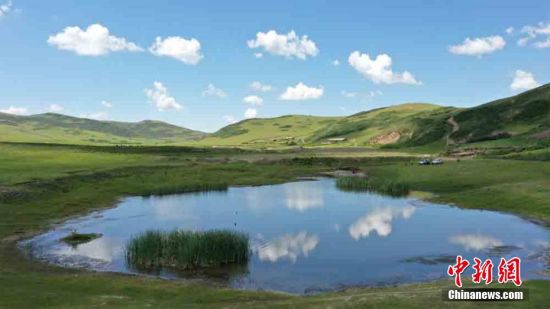 图为岷县境内占地90余万亩的湿地草原水清草绿。 王金生 摄