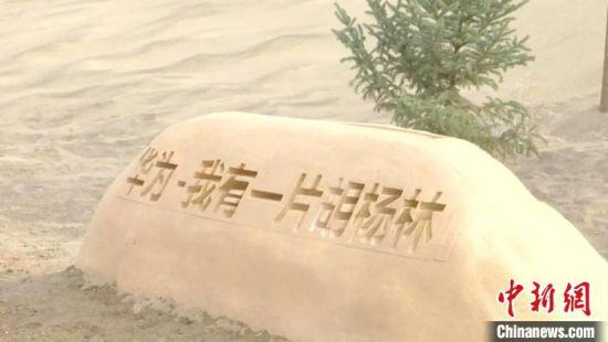 4月中旬,逾6万株胡杨树苗在位于甘肃省河西走廊西端的金塔县完成种植。 金塔县委宣传部供图