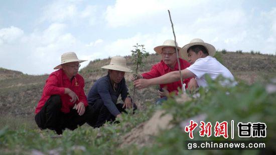 图为安掌村驻村书记席洪涛与村民一起研究新苹果品种“瑞阳”“瑞雪”。