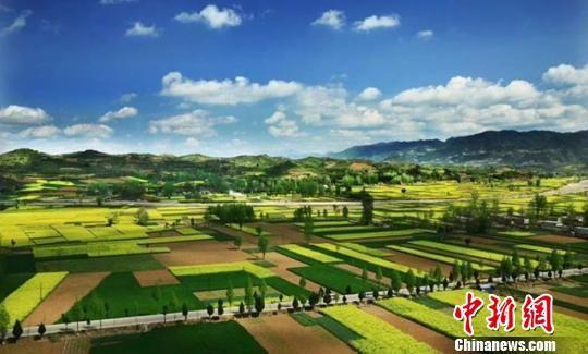 资料图。图为陇南油菜花。甘肃省旅发委供图