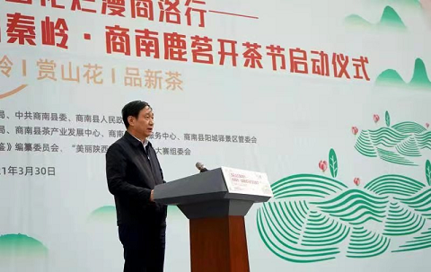 商南县委书记许水兆致辞