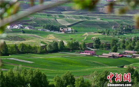 图为盛夏六月,祁连山北麓的甘肃民乐县。 王将 摄