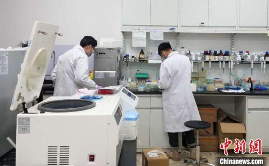 3月3日,甘肃省科技厅披露,甘肃新冠肺炎智能辅助鉴别筛查系统研发成功,并进行了初步临床验证,已开始提供线上服务。甘肃省科技厅供图