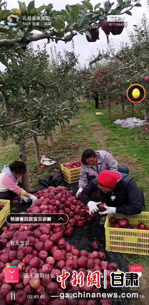 图为张加成“全家总动员”上阵直播间售卖苹果。