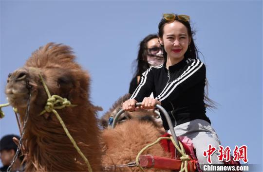 图为游客沙漠中骑骆驼。 高宏善 摄