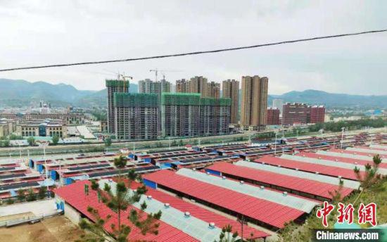 5月19日,甘肃省易地搬迁后续扶持工作现场会在临夏州召开。图为广河县康家模式的养殖区域。 艾庆龙 摄